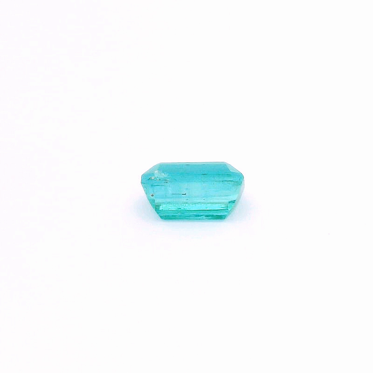 Eme241100Pak00029