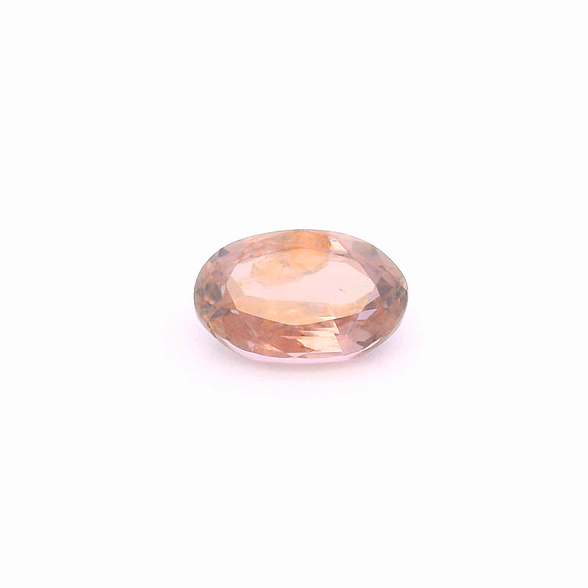 Sap241000Sri00055
