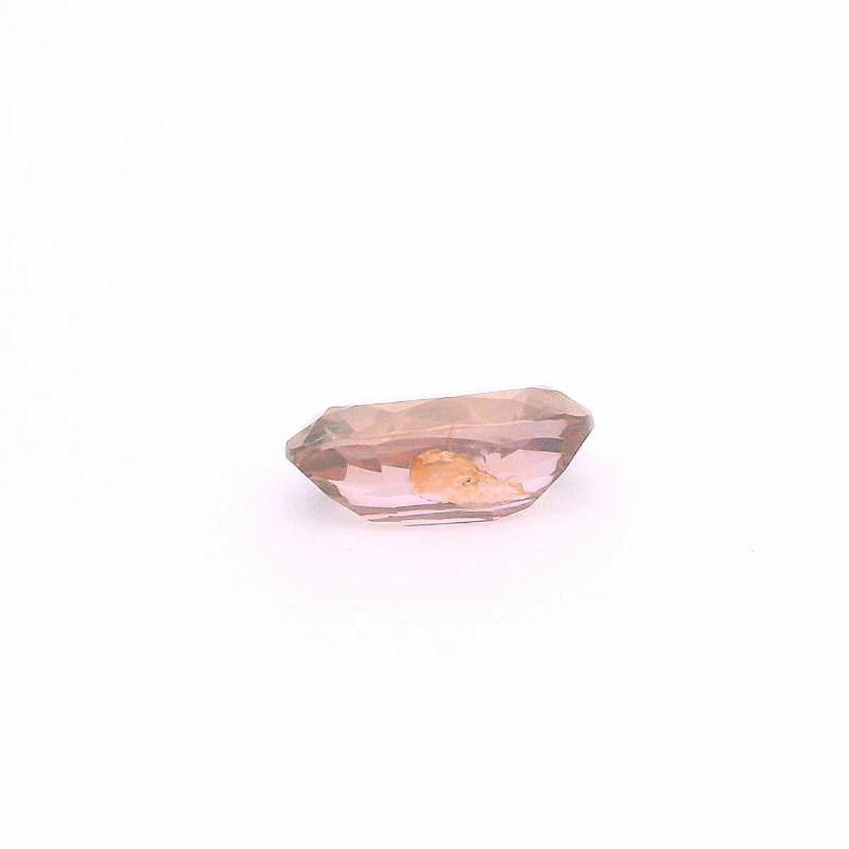 Sap241000Sri00055