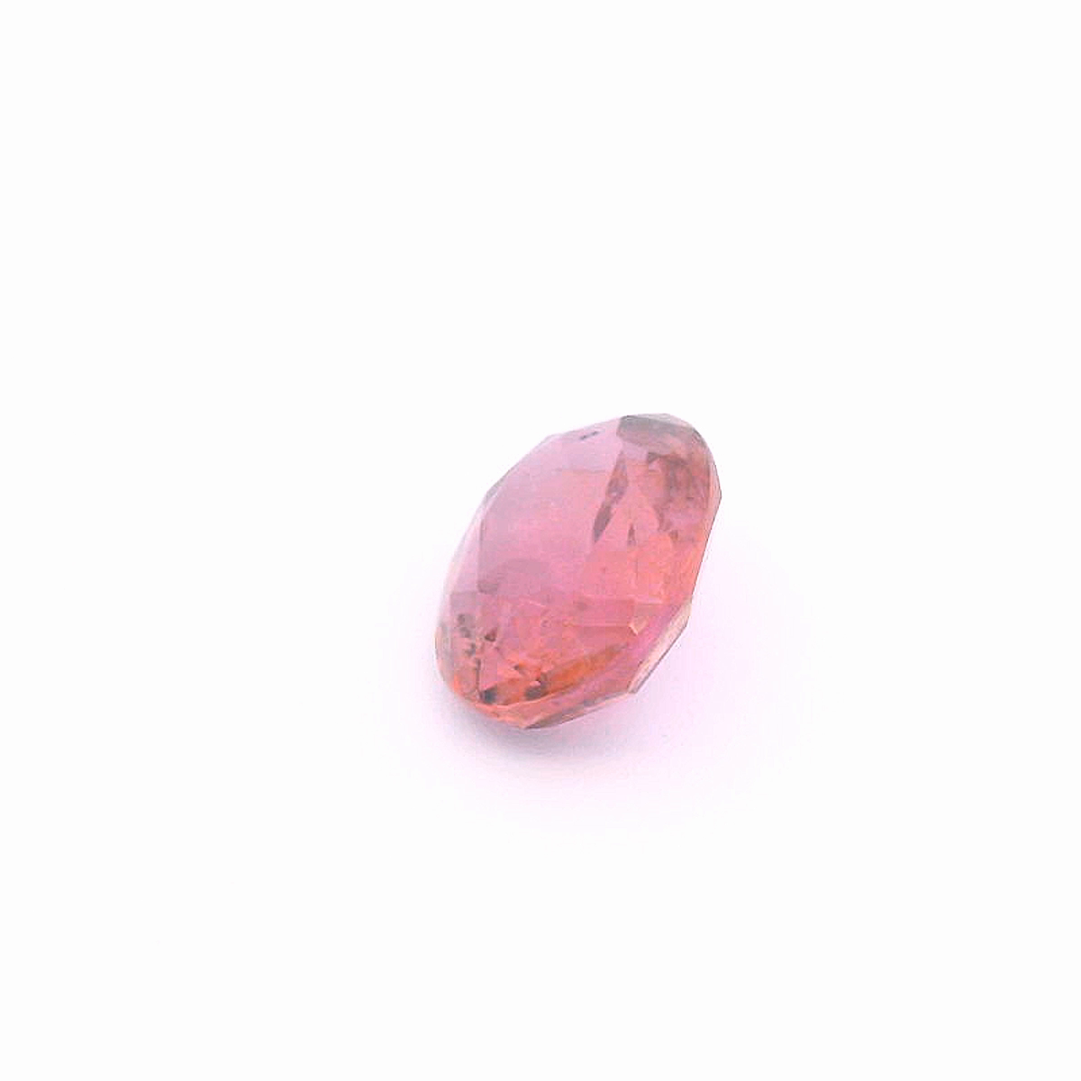 Rub241000Tan00109