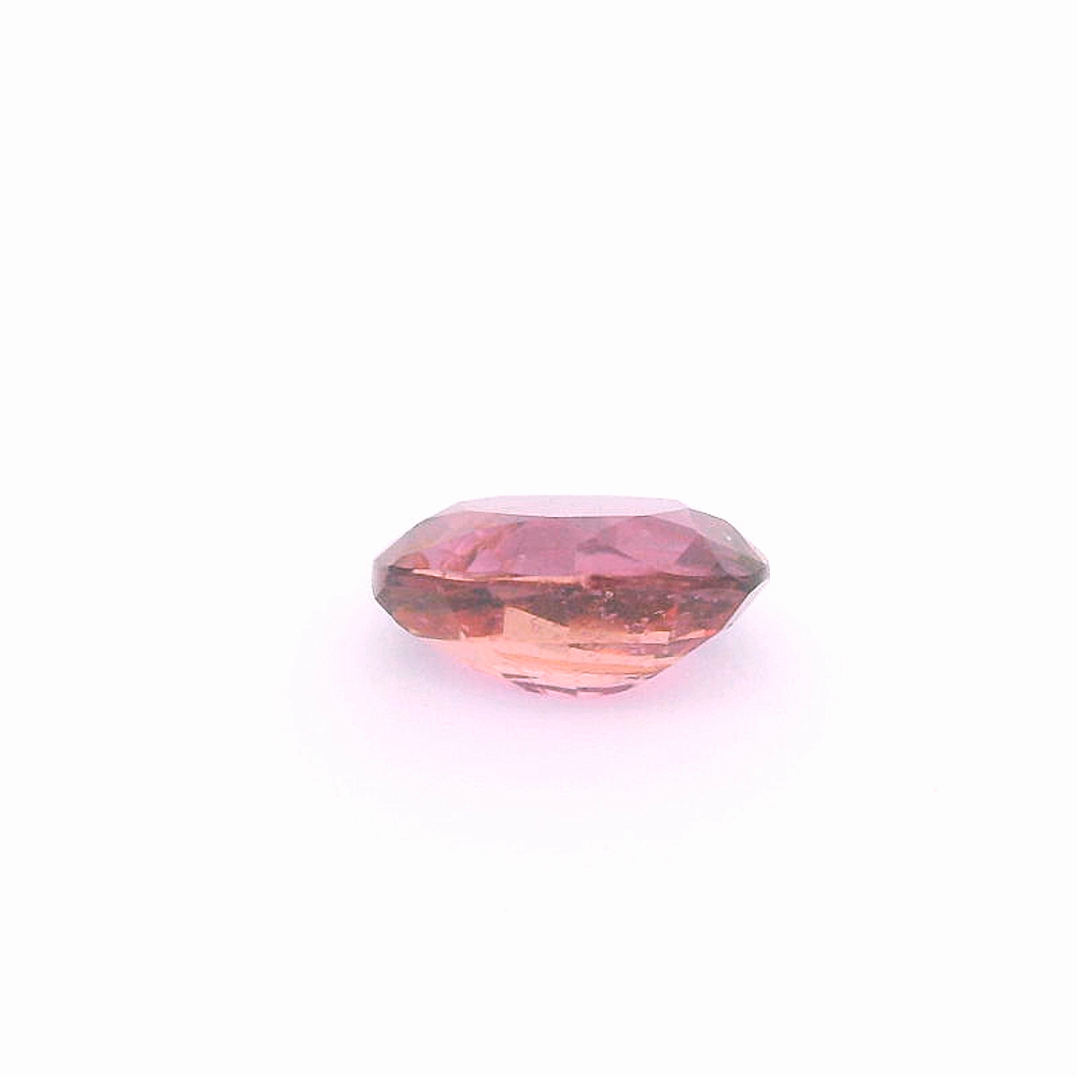 Rub241000Tan00109