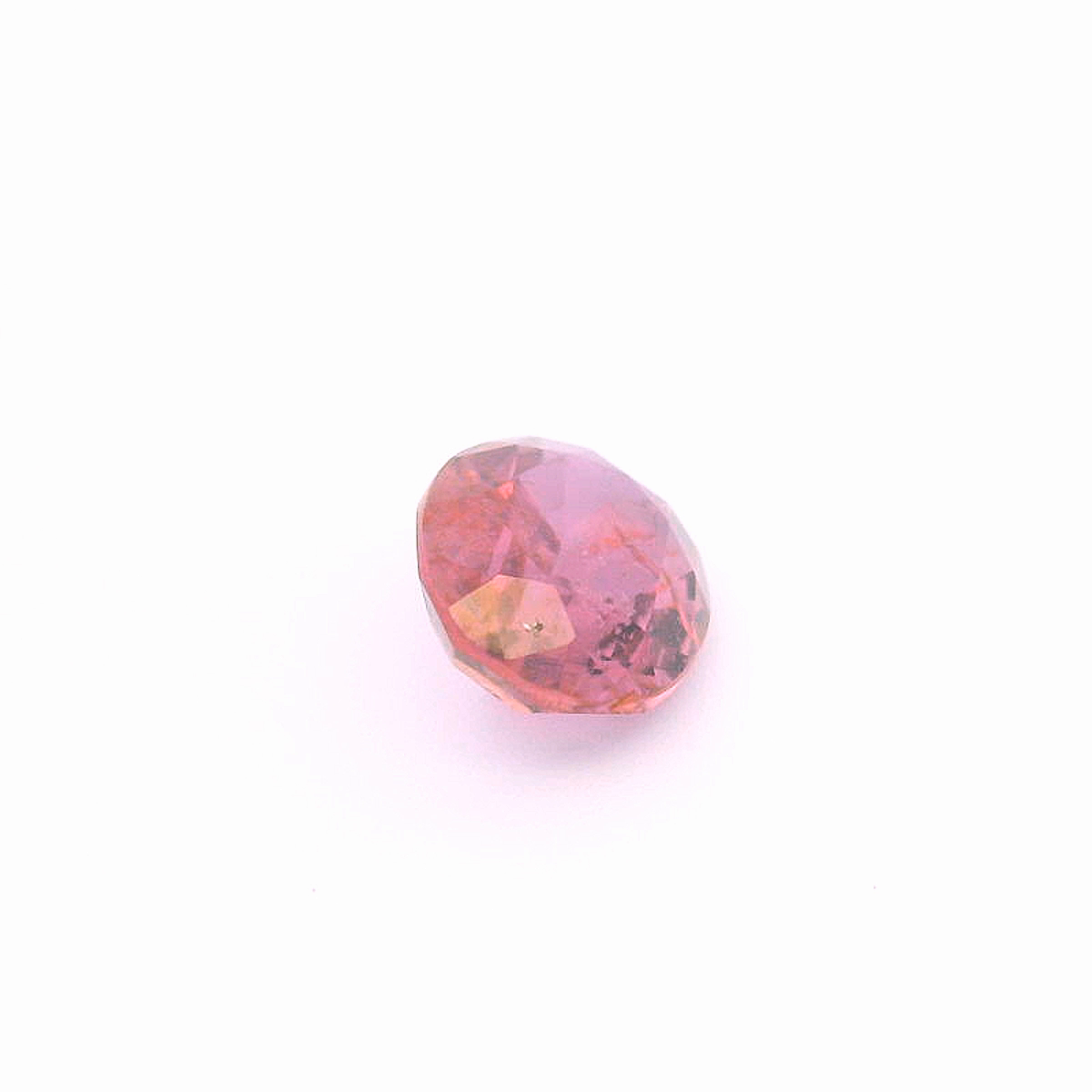 Rub241000Tan00109