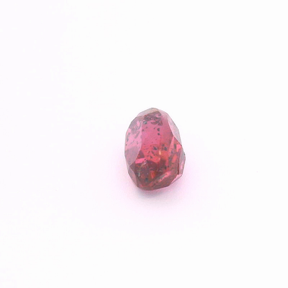Rub241000Tan00107
