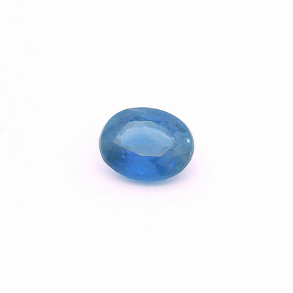 Sap241000Sri00054