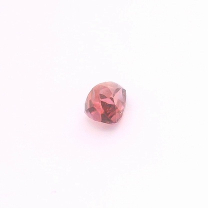 Rub241000Tan00103