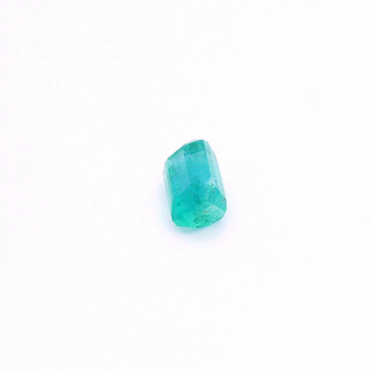 Eme241100Pak00029