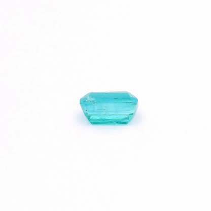 Eme241100Pak00029