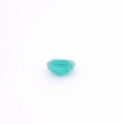 Eme241100Pak00006