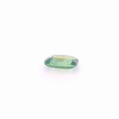 Sap241000Mad00170