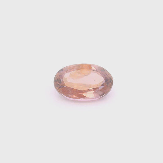 Sap241000Sri00055