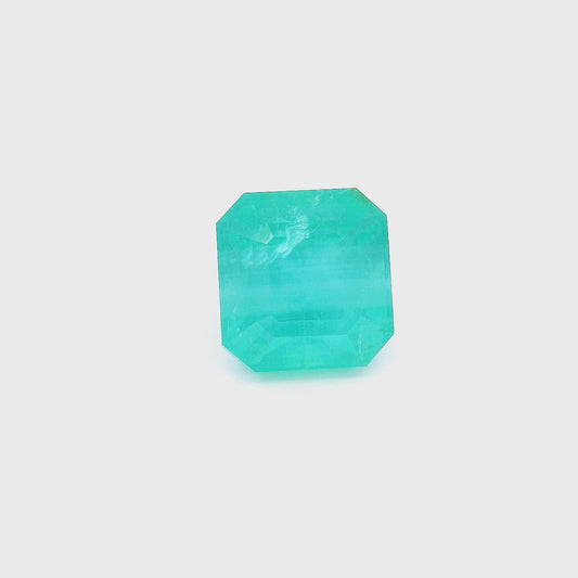 Eme251000Pak00035