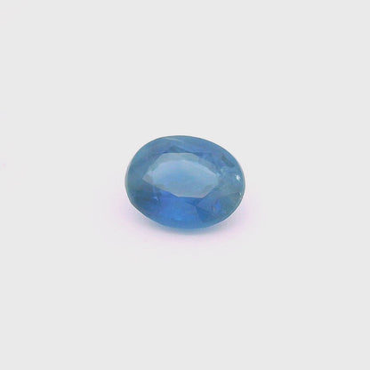 Sap241000Sri00054