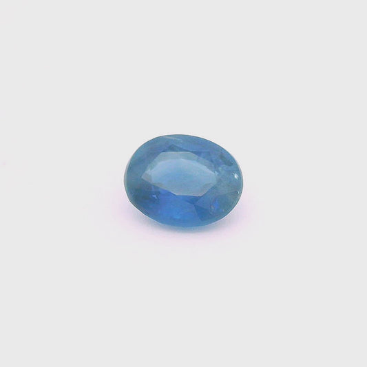 Sap241000Sri00054
